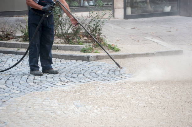 Best Warehouse Cleaning  in Delevan, NY