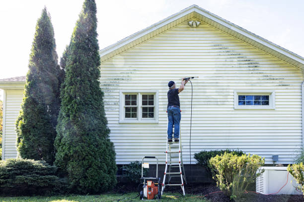 Best Soft Washing  in Delevan, NY