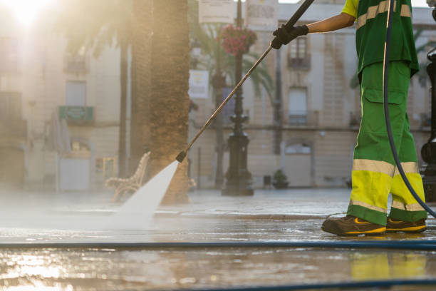 Best Gutter Cleaning  in Delevan, NY